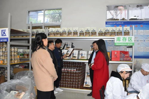 文縣電商中心負責人深入一線，檢查指導電商協會及企業運營，力促農副產品銷售再上新臺階