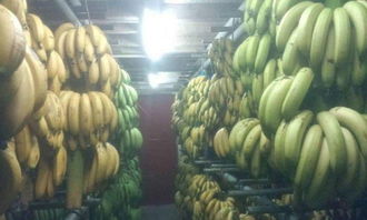 廣州食材配送 連接優質農副產品與單位食堂的橋梁